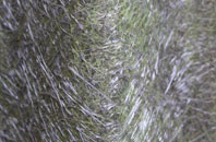 Paramour Street fibreglass roof work